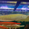 Silver Arowana for sale
